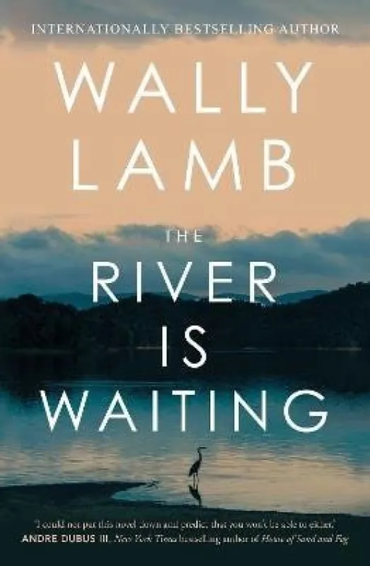 River Is Waiting (Oprah´s Book Club) Akční Cena