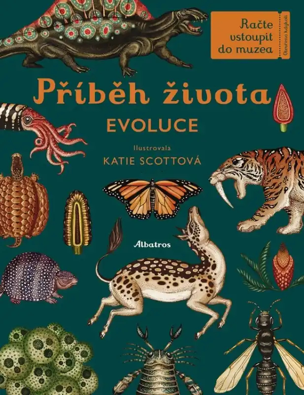 Pouze Dnes Příběh života
